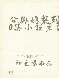 公与媳系列100集小说免费阅读