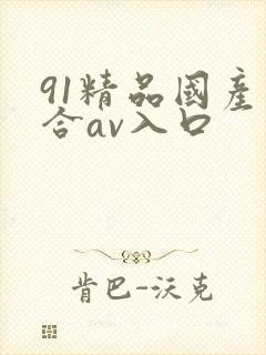 91精品国产综合av入口