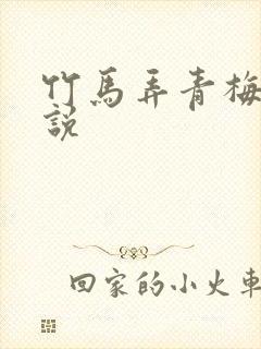 竹马弄青梅的小说