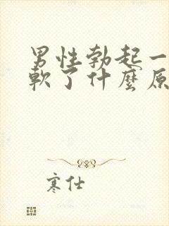 男性勃起一会就软了什么原因