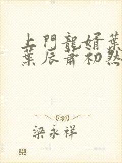 上门龙婿叶辰 叶辰萧初然最新