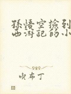 孙悟空捡到一本西游记的小说