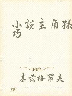 小说主角孙哲叶巧封面