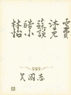 林皓苏沐云李静怡小说免费阅读