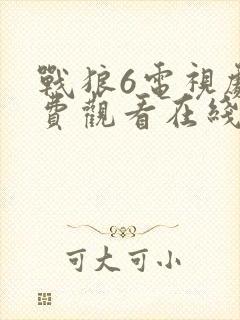 战狼6电视剧免费观看在线高清