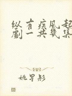 纵有疾风起电视剧一共几集封面