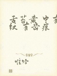 舌苔黄 中有裂纹 有齿痕