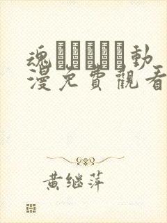 魂インサート动漫免费观看第一季