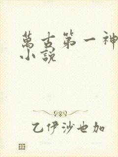 万古第一神有声小说