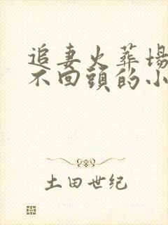 追妻火葬场女主不回头的小说