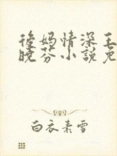 后妈情深王磊杨晓芬小说免费阅读全文