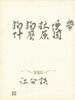 狗狗拉便带血是什么原因封面