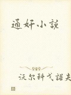 通奸小说