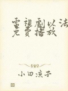 电视剧以法之名免费播放