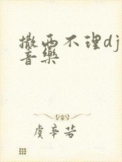撒西不理dj纯音乐