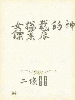 女总裁的神级保镖叶辰