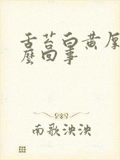 舌苔白黄厚腻怎么回事