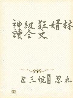 神级狂婿林凡阅读全文封面