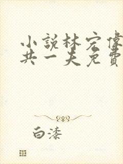 小说林宏伟三女共一夫免费阅读