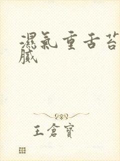 湿气重舌苔白厚腻