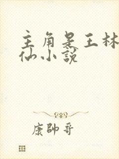 主角是王林的修仙小说