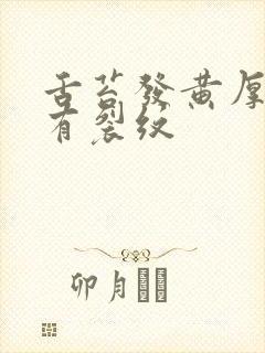 舌苔发黄厚腻又有裂纹