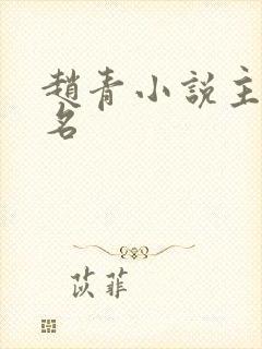 赵青小说主角书名