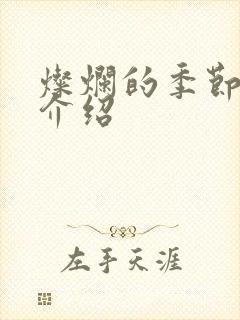 灿烂的季节剧情介绍封面