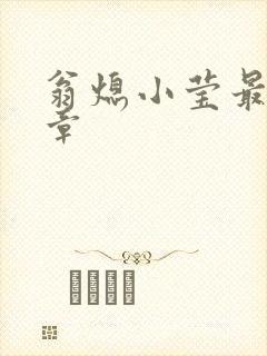 翁熄小莹最新节章