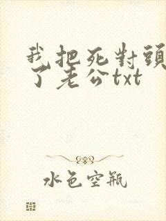 我把死对头养成了老公txt