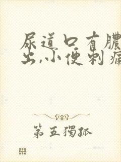 尿道口有脓液流出,小便刺痛封面