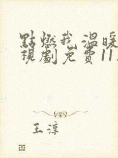 点燃我温暖你电视剧免费11集