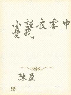 小说夜雾中无人爱我