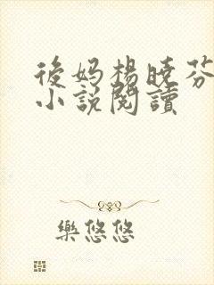 后妈杨晓芬王磊小说阅读