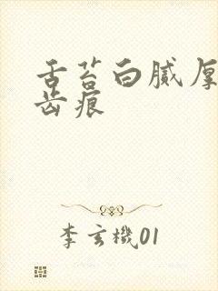 舌苔白腻厚 有齿痕