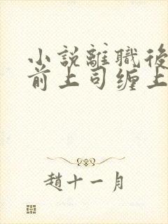 小说离职后我被前上司缠上了在线阅读