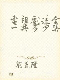 电视剧流金岁月一共多少集封面