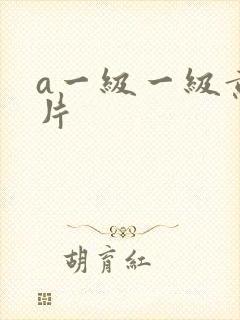 a一级一级黄色片