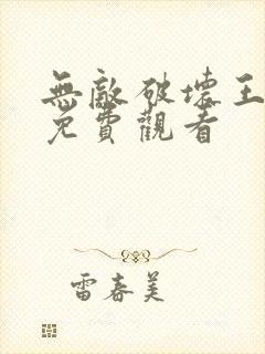 无敌破坏王中文免费观看