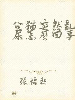 公猫突然乱拉乱尿怎么回事封面