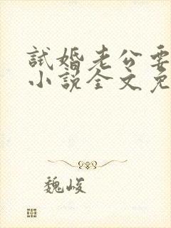 试婚老公要给力小说全文免费阅读封面