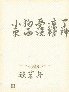 小狗受凉了不吃东西没精神怎么办