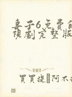 妻子6免费的电视剧完整版中文在线观看