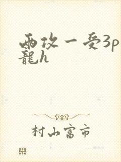 两攻一受3p双龙h封面