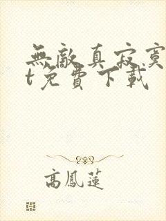 无敌真寂寞txt免费下载