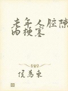 老年人腔隙性脑内梗塞