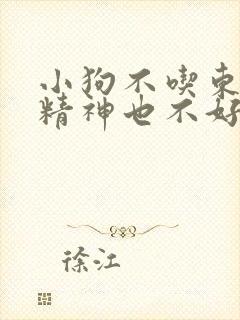 小狗不吃东西,精神也不好,怎么办封面