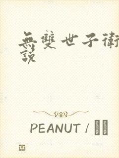 无双世子卫渊小说