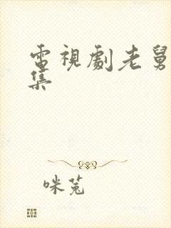 电视剧老舅27集封面