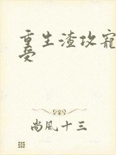 重生渣攻宠痴情受封面